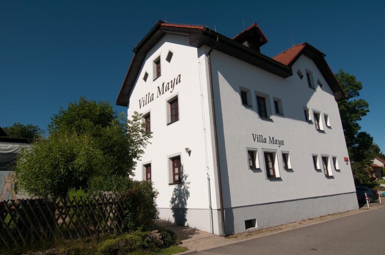Villa Maya Horní Planá 외부 사진